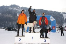 Lenk 2012 SM